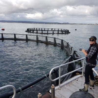 Aquaculture Ponds