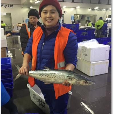 Melb Seafood Centre